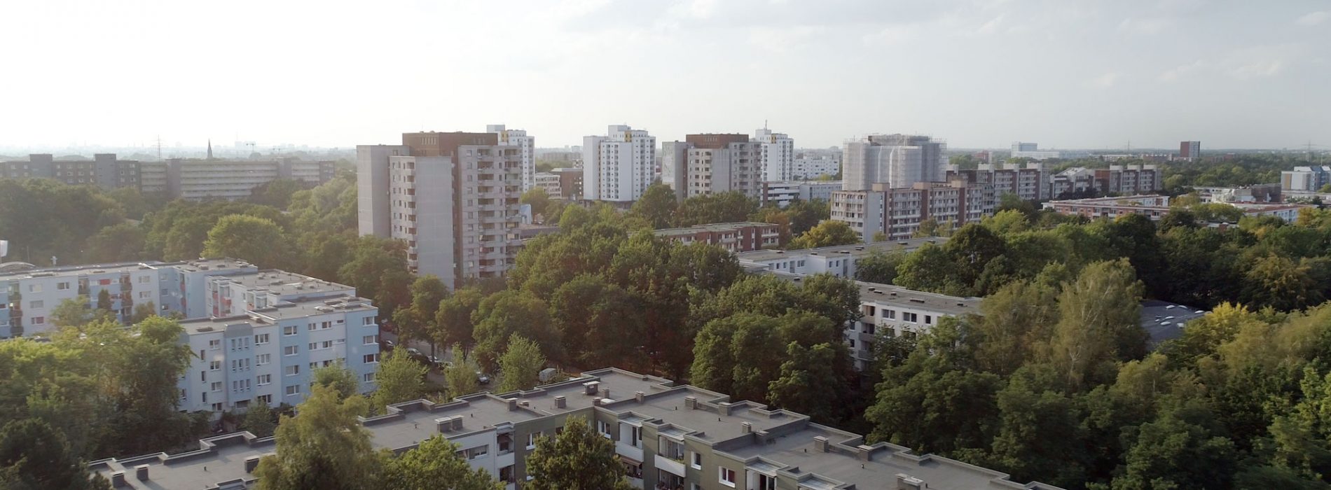 Luftaufnahme des Stadtteils Mümmelmannsberg mit vielen Hochhäusern und vielen Bäumen.